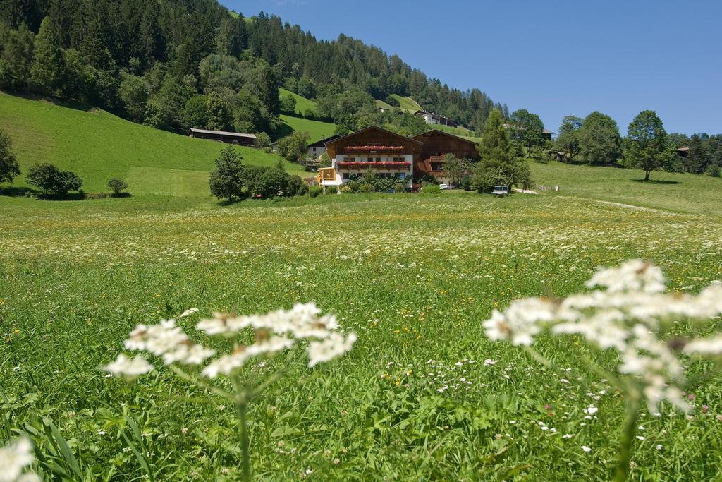Ladestatthof Hotel Neustift im Stubaital Kültér fotó